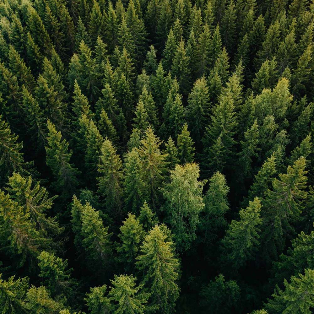 Sustainable Wood Pallets North West UK